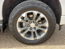 Thumbnail image of 2023 Chevrolet Silverado 1500 at Frank Brown Honda GMC
