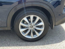 Thumbnail image of 2022 INFINITI QX50 at Nissan of Fort Myers-New