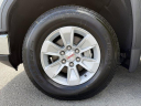 Thumbnail image of 2025 GMC Sierra 1500 at Griffin Motor Company Monroe - New