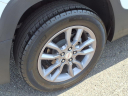 Thumbnail image of 2022 GMC Terrain at Green Brook Buick Gmc