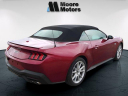 Thumbnail image of 2025 Ford Mustang at Moore Motor Sales - New and Used