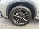 Thumbnail image of 2025 Lexus NX 450h+ at Northtown Lexus