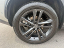 Thumbnail image of 2025 Lexus NX 450h+ at Northtown Lexus