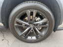Thumbnail image of 2025 Lexus NX 450h+ at Northtown Lexus