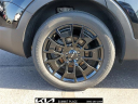 Thumbnail image of 2022 Kia Telluride at Summit Place Kia
