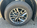 Thumbnail image of 2025 Nissan Rogue at McGavock Nissan of Amarillo (McGavockNissanofAmarillo