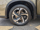 Thumbnail image of 2023 Subaru Forester at LaFontaine Toyota Kia Genesis of Dearborn