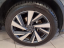 Thumbnail image of 2023 Nissan Murano at Brandon Auto Mall By Ed Morse