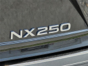 Thumbnail image of 2024 Lexus NX 250 at Lexus of Mobile