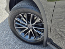 Thumbnail image of 2024 Lexus NX 250 at Lexus of Mobile
