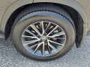 Thumbnail image of 2024 Lexus NX 250 at Lexus of Mobile