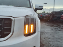 Thumbnail image of 2024 Kia Telluride at Kings Kia