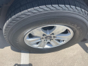 Thumbnail image of 2010 Ford F-150 at 5 Star Chevrolet