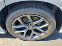 Thumbnail image of 2022 Dodge Charger at Wilson Ford Lincoln