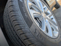 Thumbnail image of 2025 Chevrolet Trailblazer at TyrrellChevrolet (Also Ford and Honda used)