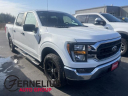 Thumbnail image of 2023 Ford F-150 at Fernelius Ford