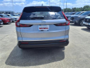 Thumbnail image of 2025 Honda CR-V at Team Gillman Honda North