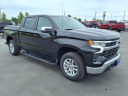 Thumbnail image of 2024 Chevrolet Silverado 1500 at Swant Graber Ford