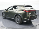 Thumbnail image of 2024 Lexus NX 250 at Miami Lakes Automall