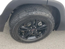 Thumbnail image of 2022 GMC Terrain at Al Serra Buick GMC