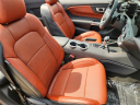 Thumbnail image of 2025 Ford Mustang at Glenn Polk Ford Autoplex