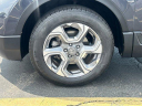 Thumbnail image of 2019 Honda CR-V at McGrath Honda Elgin - New