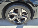 Thumbnail image of 2023 Hyundai ELANTRA at Ed Morse Cadillac Tampa
