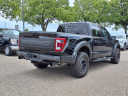 Thumbnail image of 2023 Ford F-150 at Serra Ford Farmington Hills
