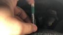 Thumbnail image of 2023 Dodge Charger at Jim Riehl's Friendly Chrysler Dodge Jeep Ram of Lapeer