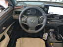 Thumbnail image of 2025 Lexus RX 350 at HiltonHeadLexus-Used of Hardeeville, SC