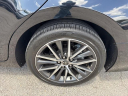 Thumbnail image of 2022 Toyota Camry at Toyota of Hollywood