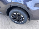 Thumbnail image of 2025 Kia Sorento at Auffenberg Kia of Cape Girardeau