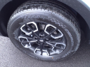 Thumbnail image of 2024 Hyundai SANTA CRUZ at Bob Brady Auto Mall