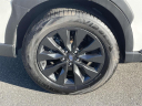 Thumbnail image of 2024 Subaru Outback at Empire Subaru of Huntington