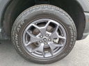Thumbnail image of 2023 Ford Bronco Sport at Brown Daub Chrysler Dodge Jeep Ram Fiat