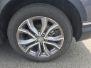 Thumbnail image of 2022 Honda CR-V at Hamilton Honda