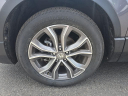 Thumbnail image of 2022 Honda CR-V at Hamilton Honda