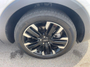 Thumbnail image of 2024 Kia Telluride at Northtown Volvo Porsche Buffalo