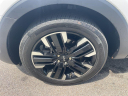 Thumbnail image of 2024 Kia Telluride at Northtown Volvo Porsche Buffalo