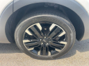 Thumbnail image of 2024 Kia Telluride at Northtown Volvo Porsche Buffalo