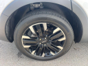 Thumbnail image of 2024 Kia Telluride at Northtown Volvo Porsche Buffalo