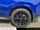 Thumbnail image of 2023 Lexus NX 350 at Stoler Lexus