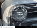 Thumbnail image of 2023 Lexus NX 350 at Stoler Lexus