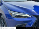 Thumbnail image of 2023 Lexus NX 350 at Stoler Lexus
