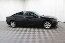 Thumbnail image of 2023 Dodge Charger at EddySCdjr USED