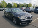 Thumbnail image of 2019 Acura TLX at Hamilton Honda