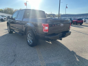 Thumbnail image of 2019 Ford F-150 at Lafontaine Ford Grand Rapids