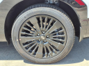 Thumbnail image of 2025 Hyundai SANTA FE Hybrid at Eckert Hyundai