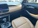 Thumbnail image of 2024 Kia Seltos at Regal Automotive (Kia Chevy)
