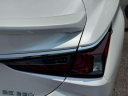 Thumbnail image of 2023 Lexus ES 350 at Lexus of Freeport